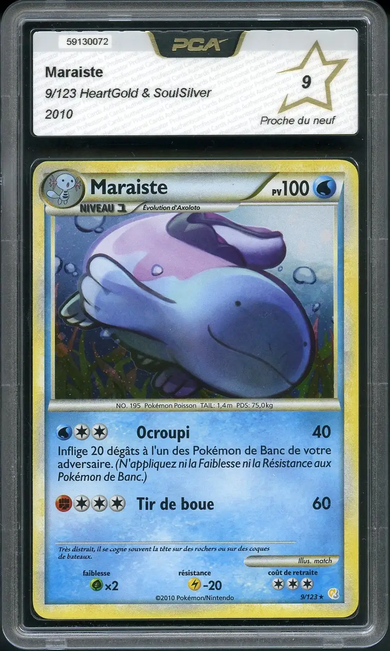 PCA 9 Maraiste Holo