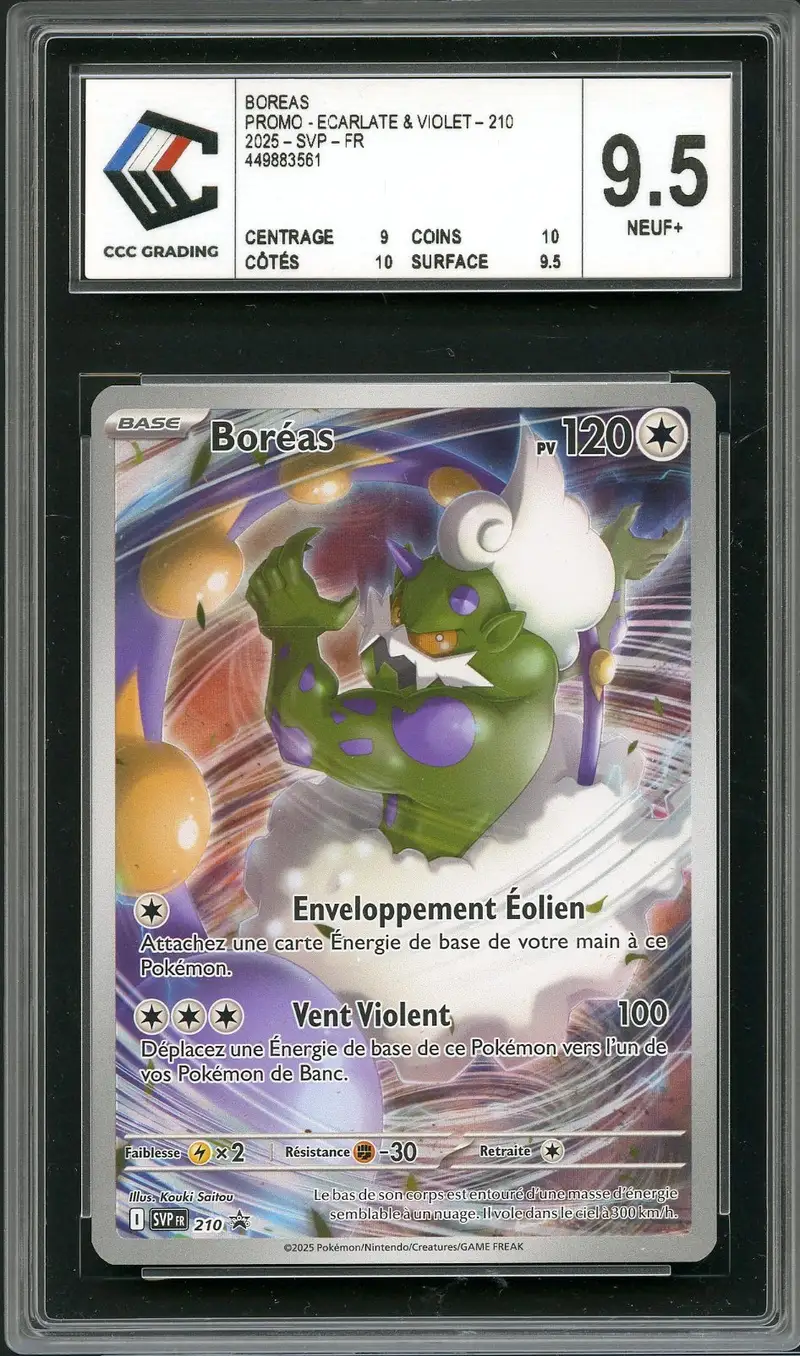 CCC 9.5 Boréas