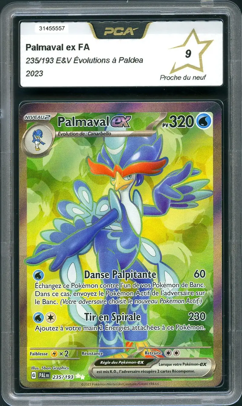 PCA 9 Palmaval Ex