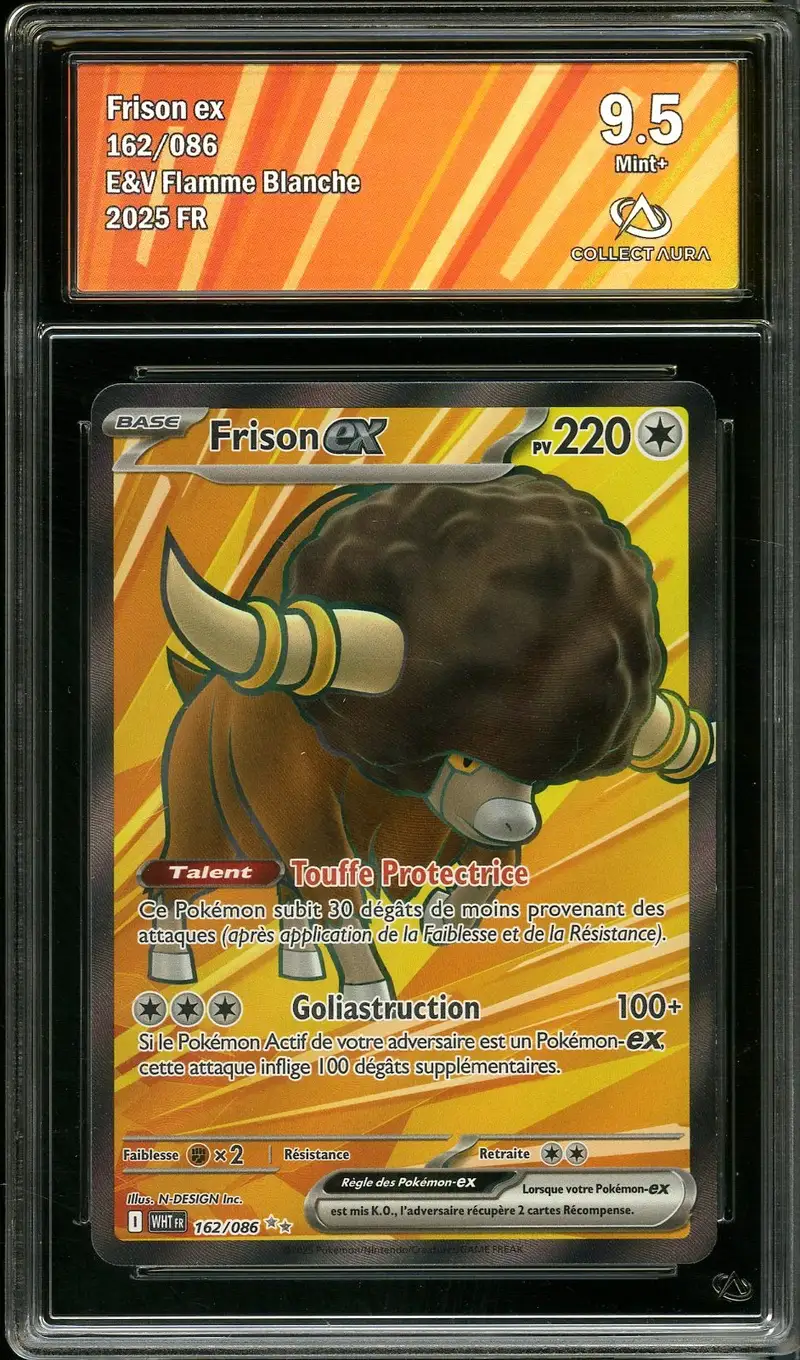 CA 9.5 Frison Ex
