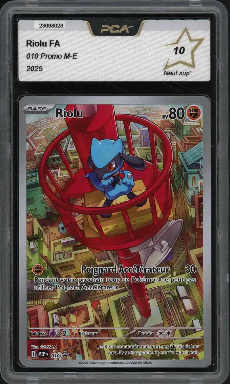 PCA 10 Riolu
