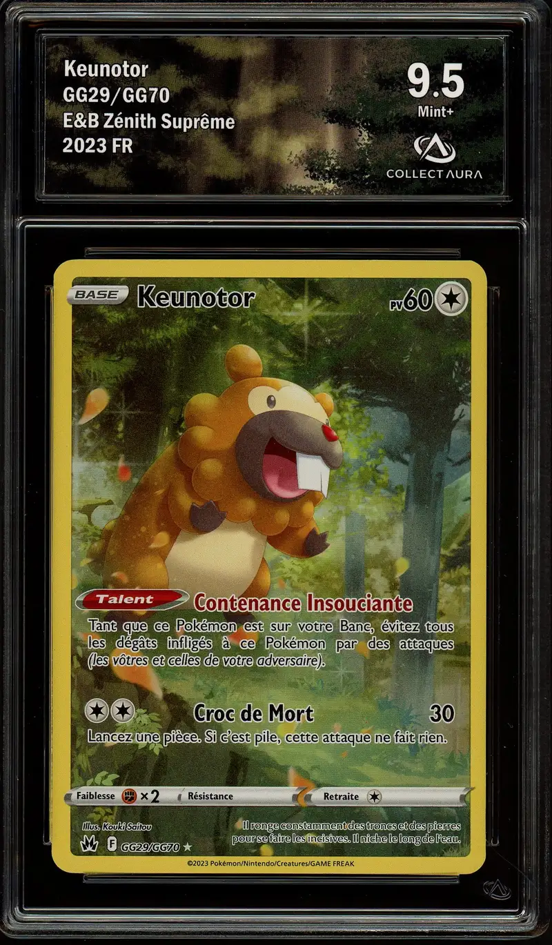 CA 9.5 Keunotor