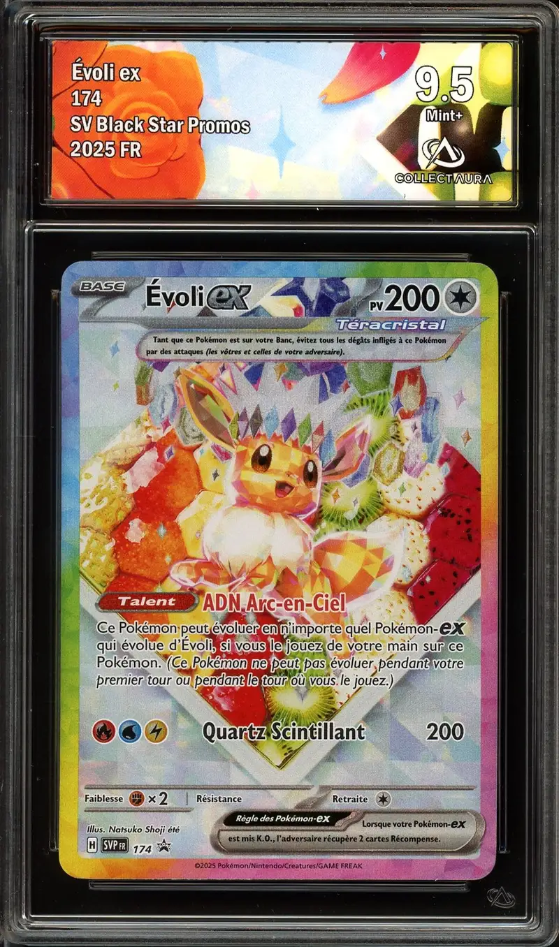 CA 9.5 Evoli Ex