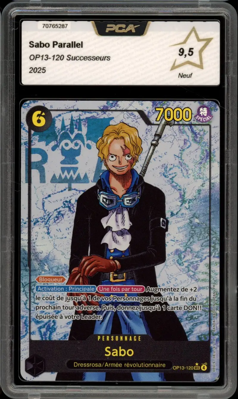 PCA 9.5 Sabo
