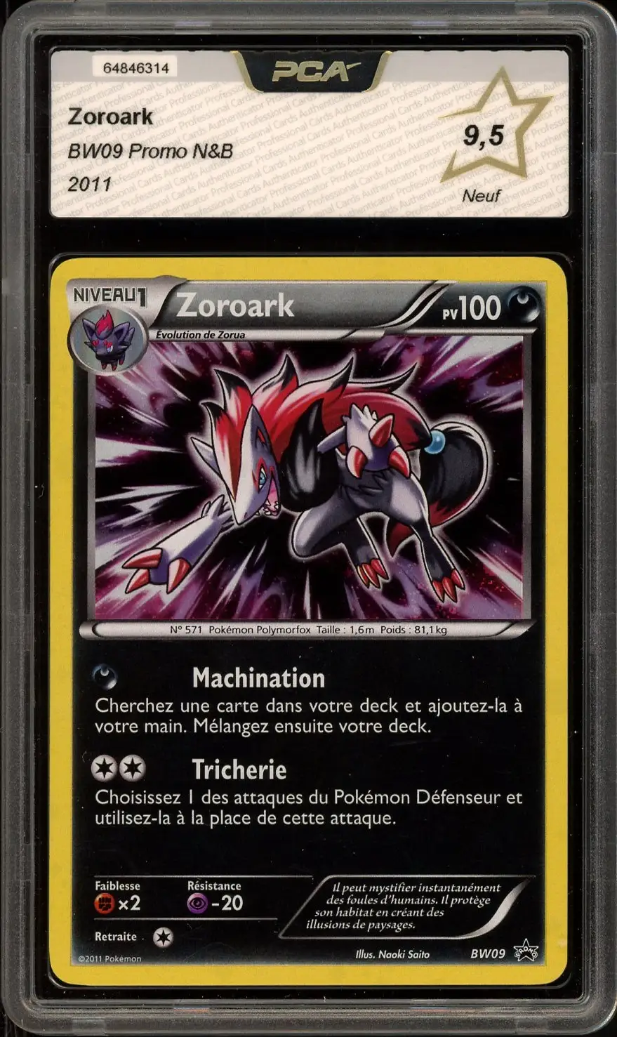 PCA 9.5 Zoroark Holo