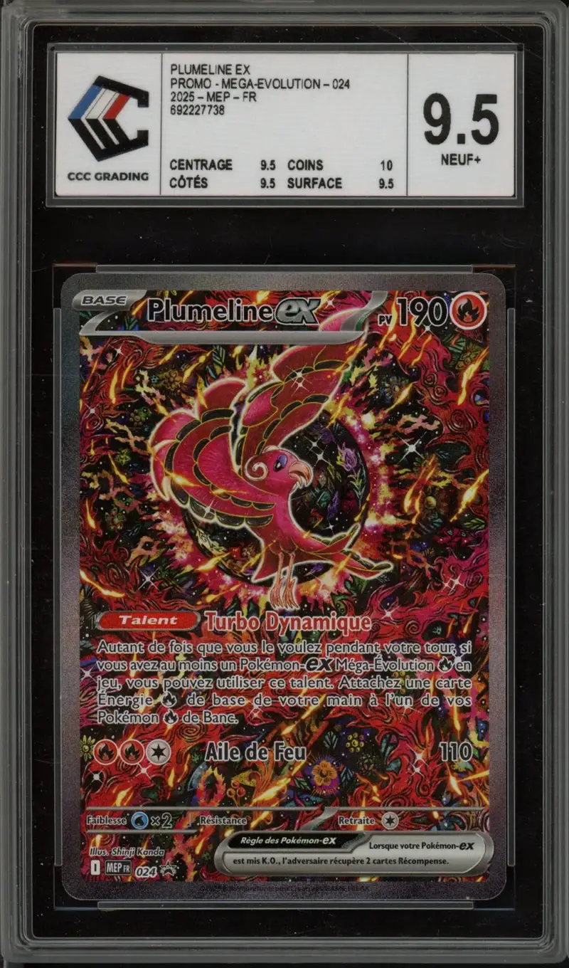 CCC 9.5 Plumeline Ex