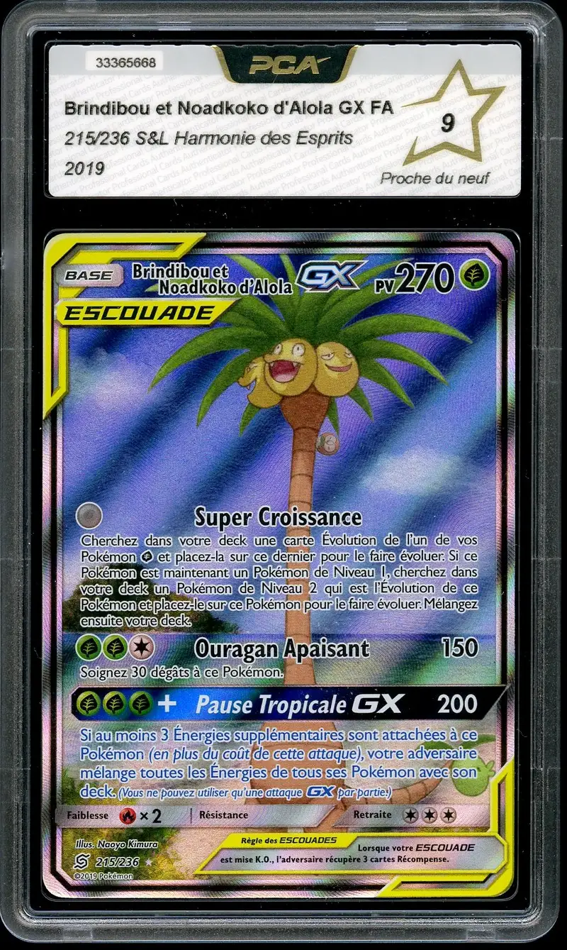PCA 9 Brindibou et Noadkoko d’Alola Gx