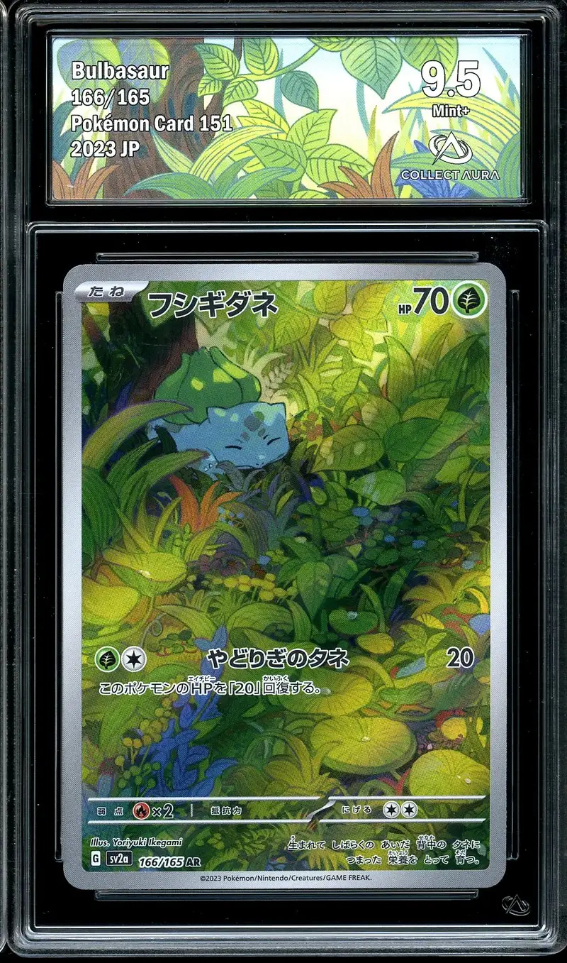 CA 9.5 Bulbasaur