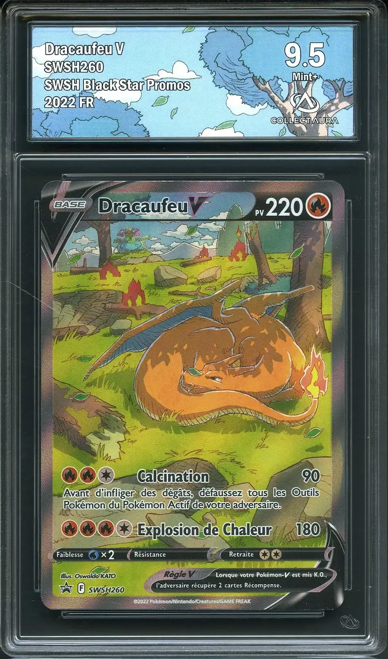 CA 9.5 Dracaufeu V