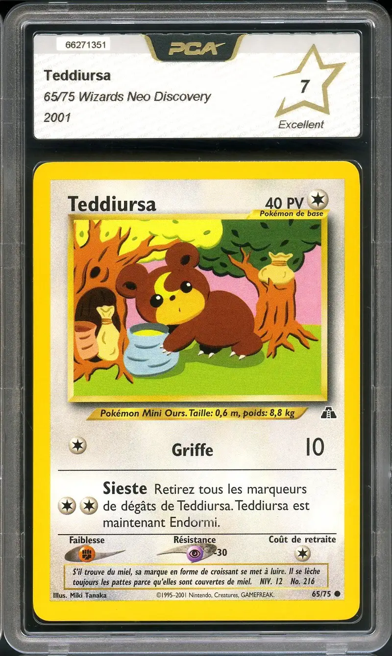 PCA 7 Teddiursa