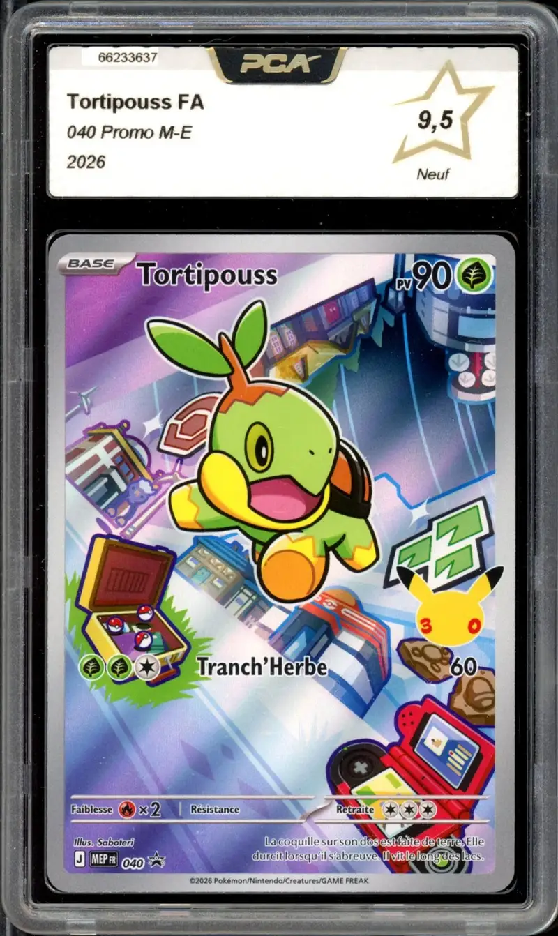 PCA 9.5 Tortipouss