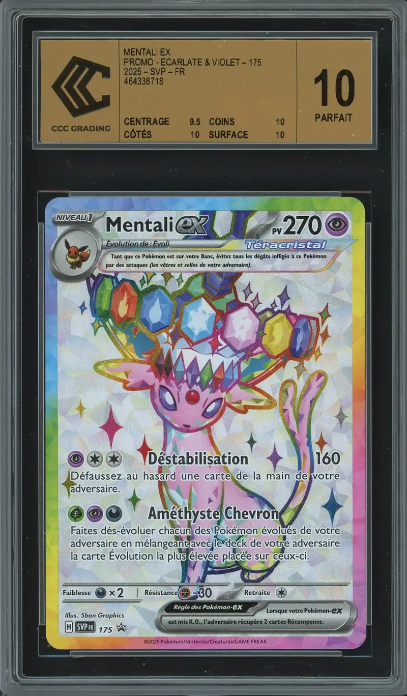 CCC 10 Mentali Ex