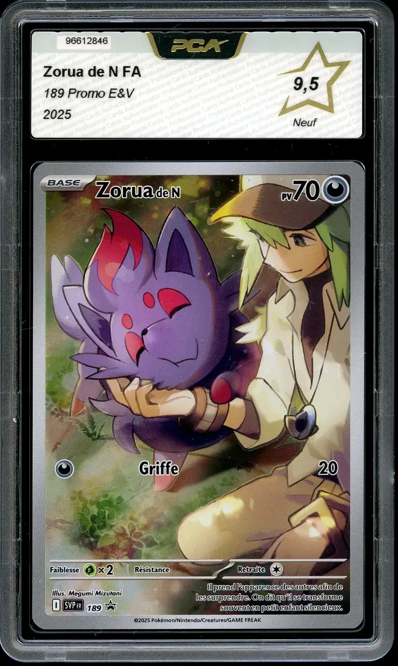 PCA 9.5 Zorua de N
