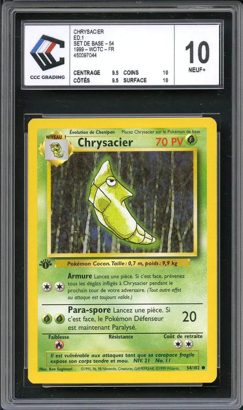 CCC 10 Chrysacier
