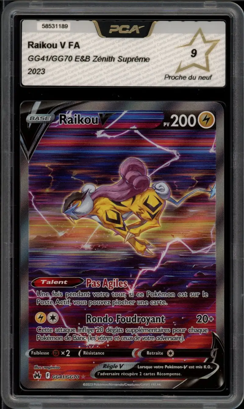 PCA 9 Raikou V
