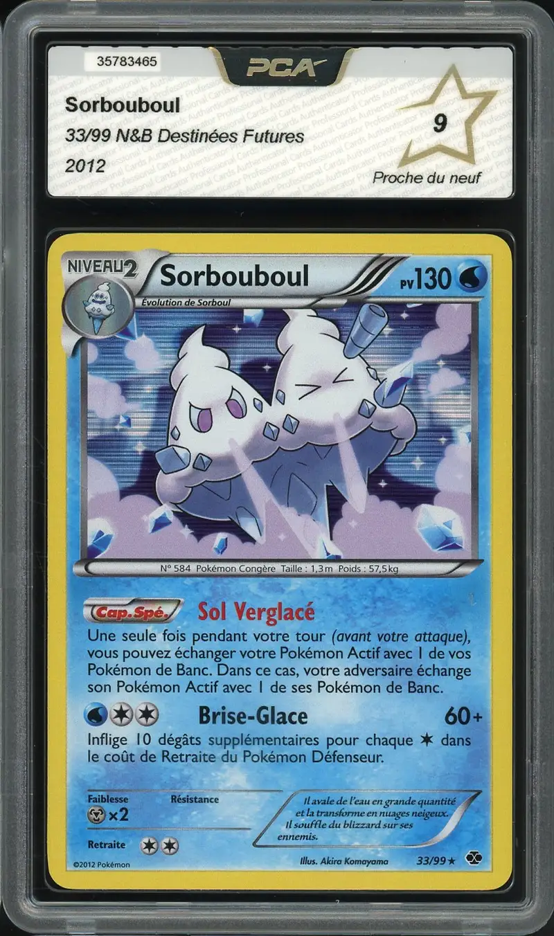 PCA 9 Sorbouboul Holo