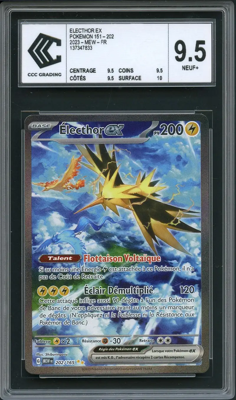 CCC 9.5 Electhor Ex
