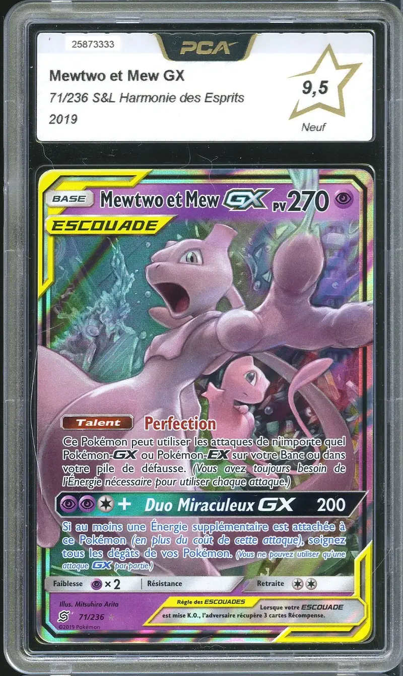 PCA 9.5 Mewtwo et Mew Gx