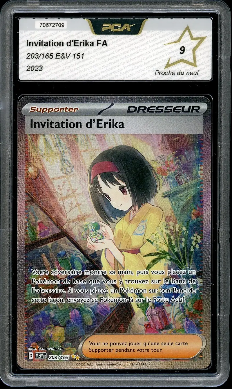 PCA 9 Invitation d'Erika