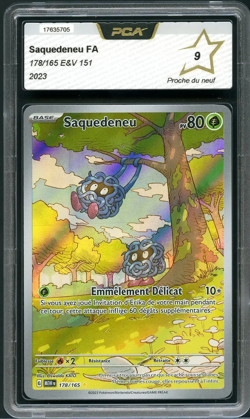 PCA 9 Saquedeneu