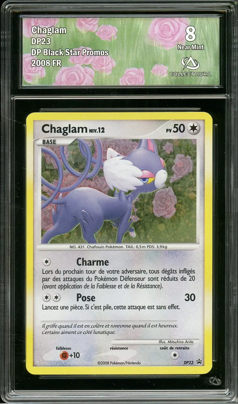 CA 8 Chaglam