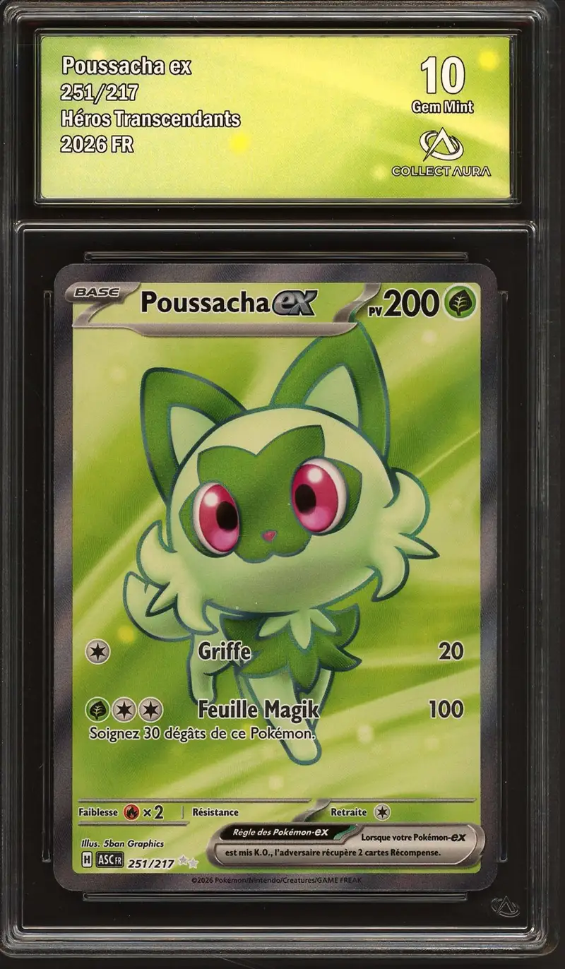 CA 10 Poussacha Ex