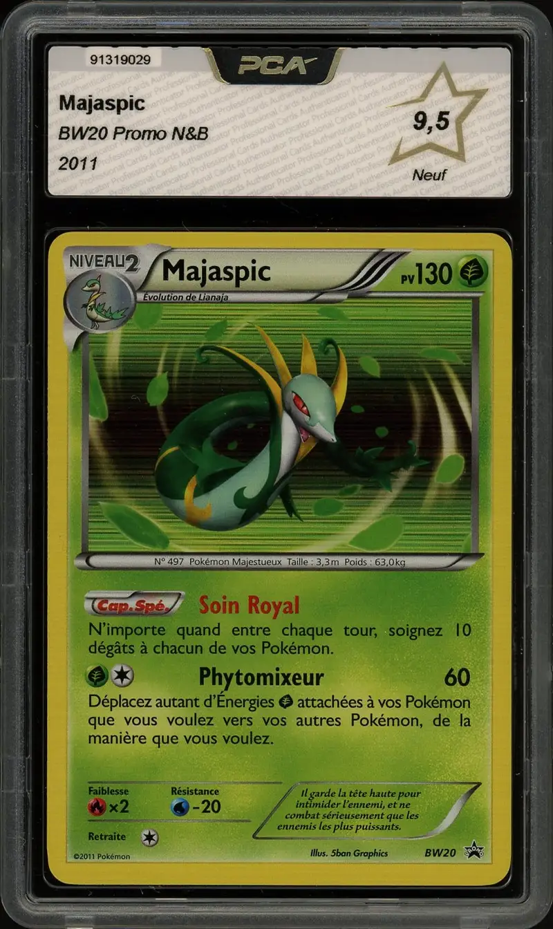 PCA 9.5 Majaspic Holo