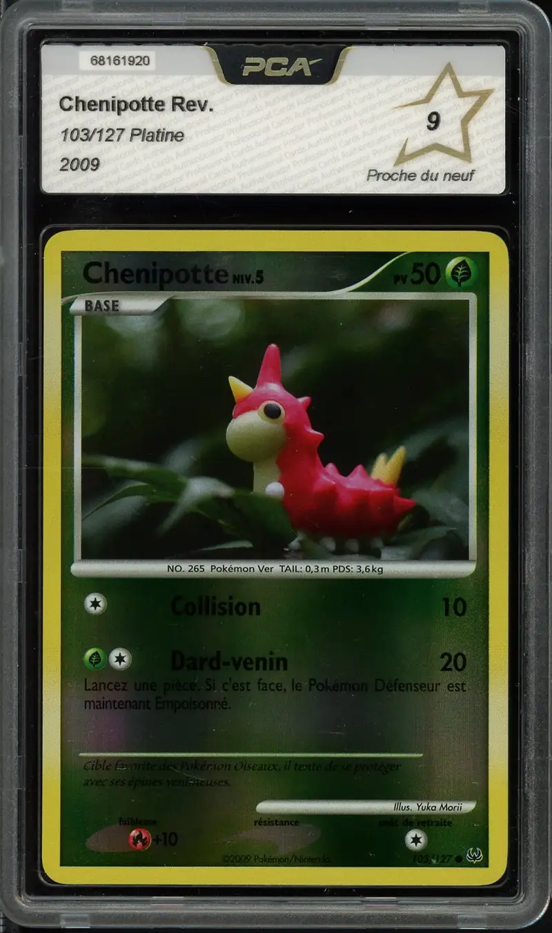 PCA 9 Chenipotte Reverse