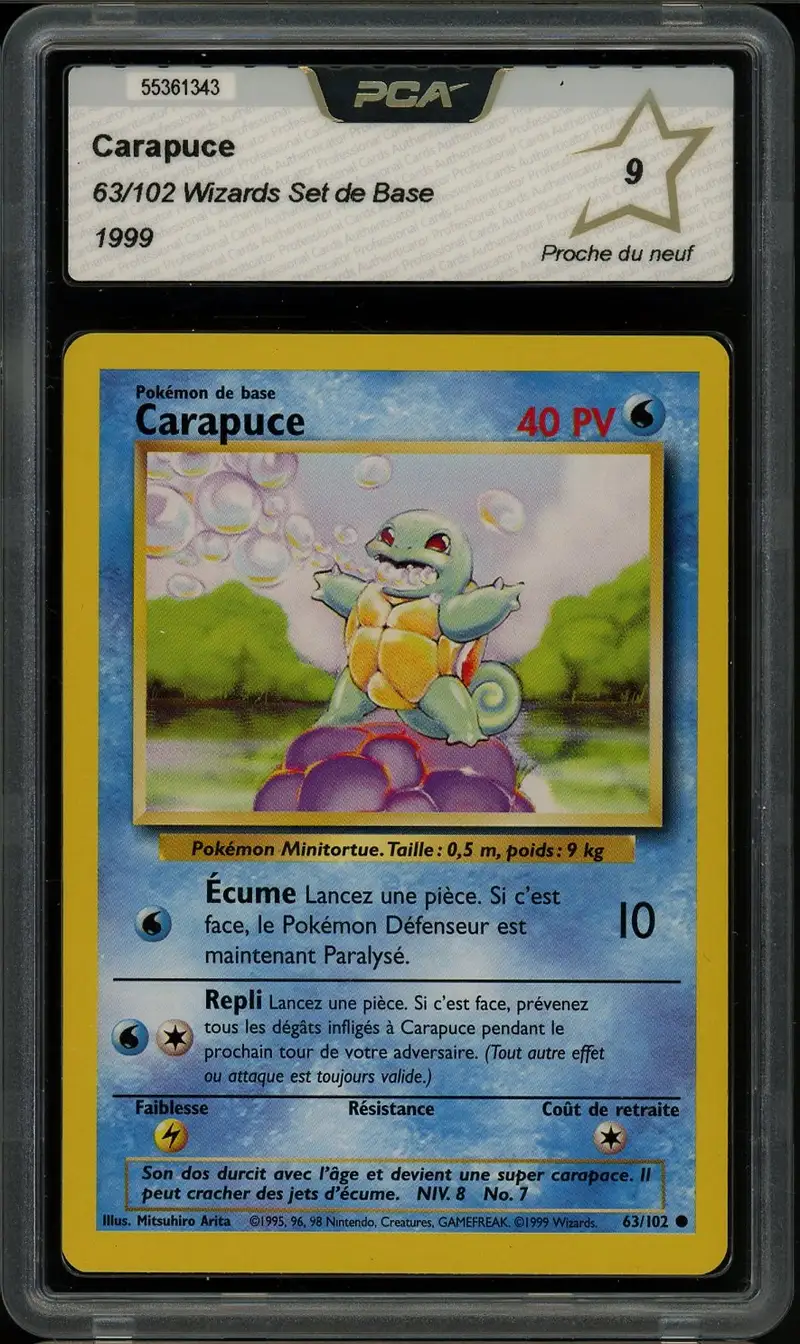 PCA 9 Carapuce