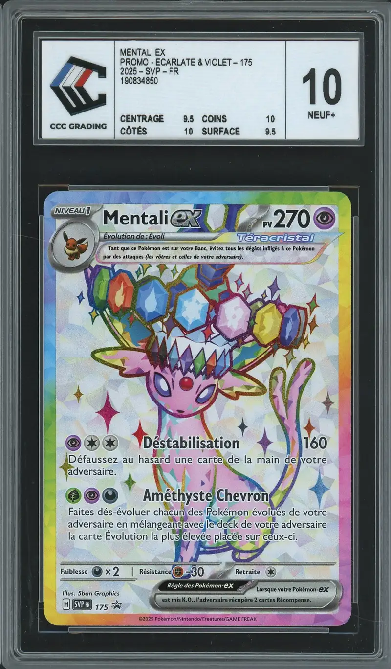 CCC 10 Mentali Ex