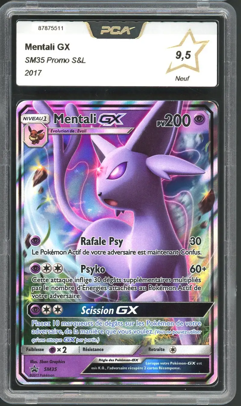 PCA 9.5 Mentali Gx