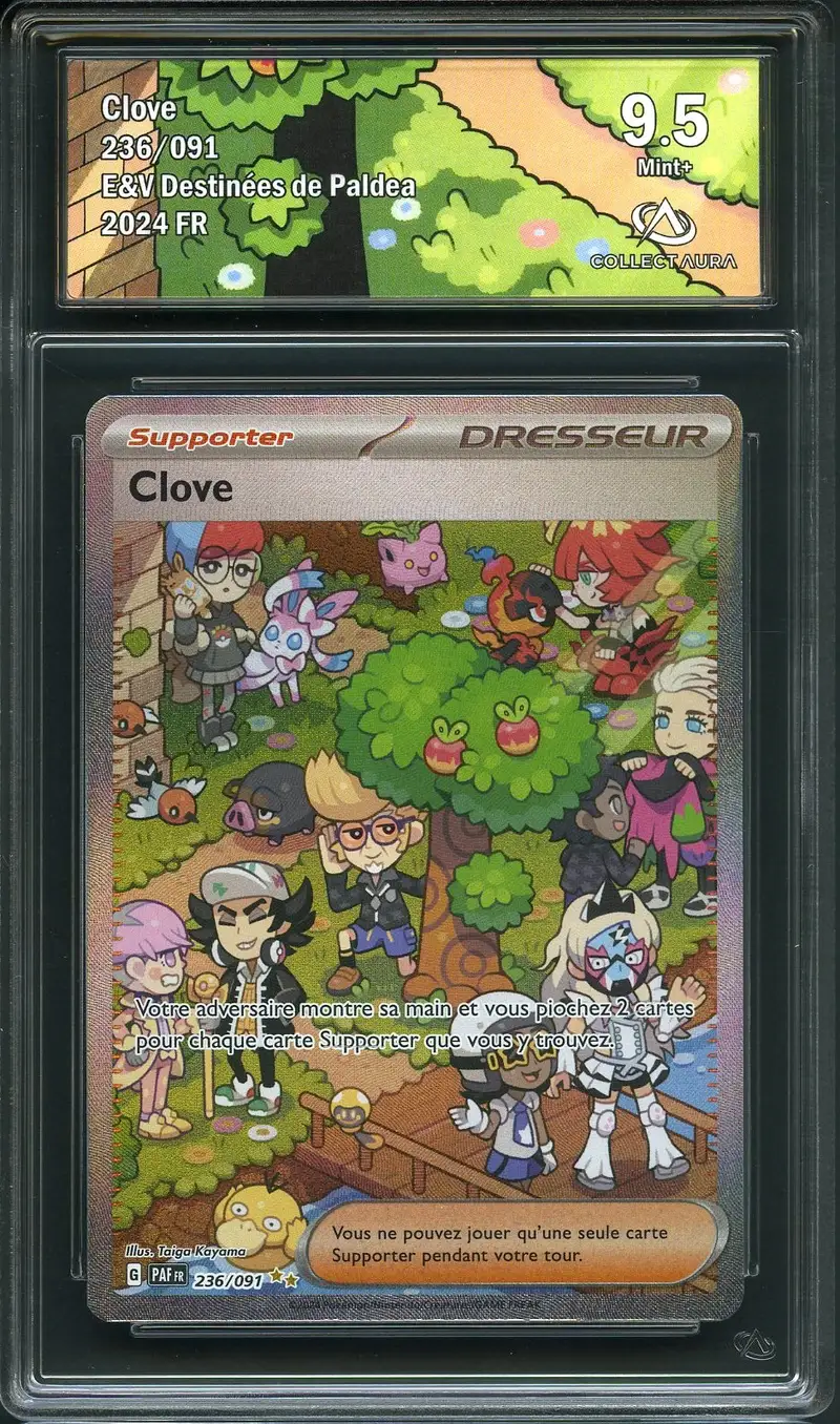 CA 9.5 Clove