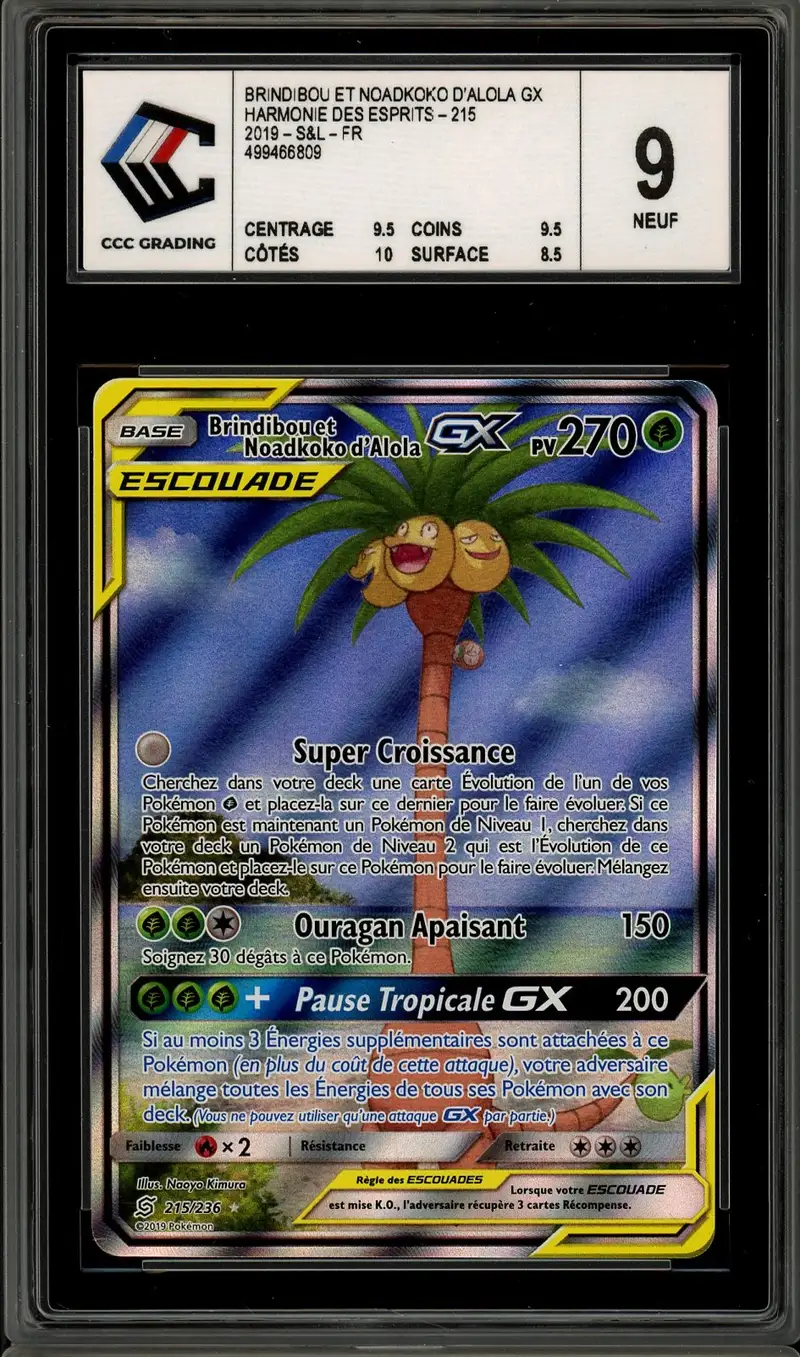 CCC 9 Brindibou et Noadkoko d’Alola Gx