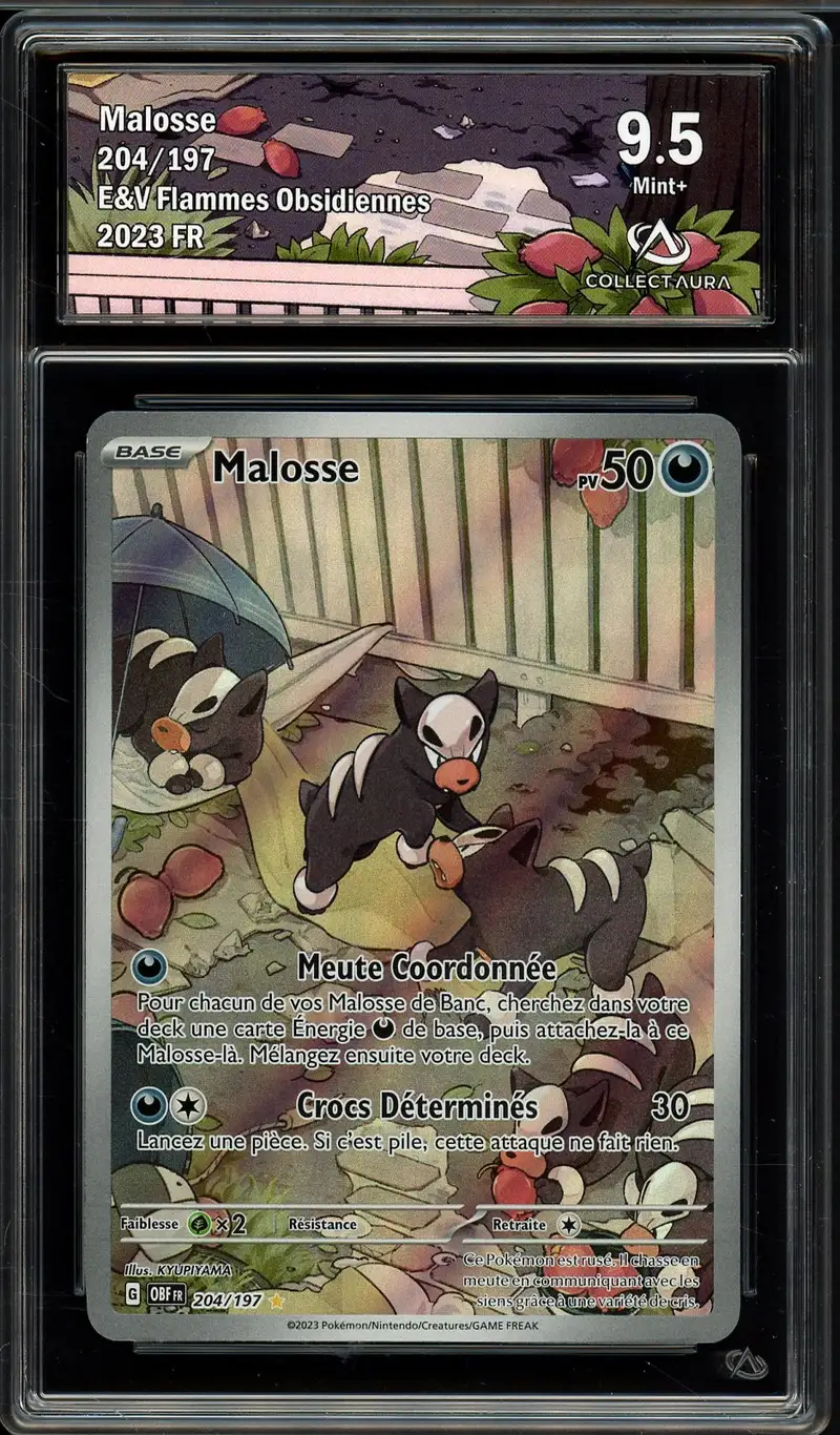 CA 9.5 Malosse