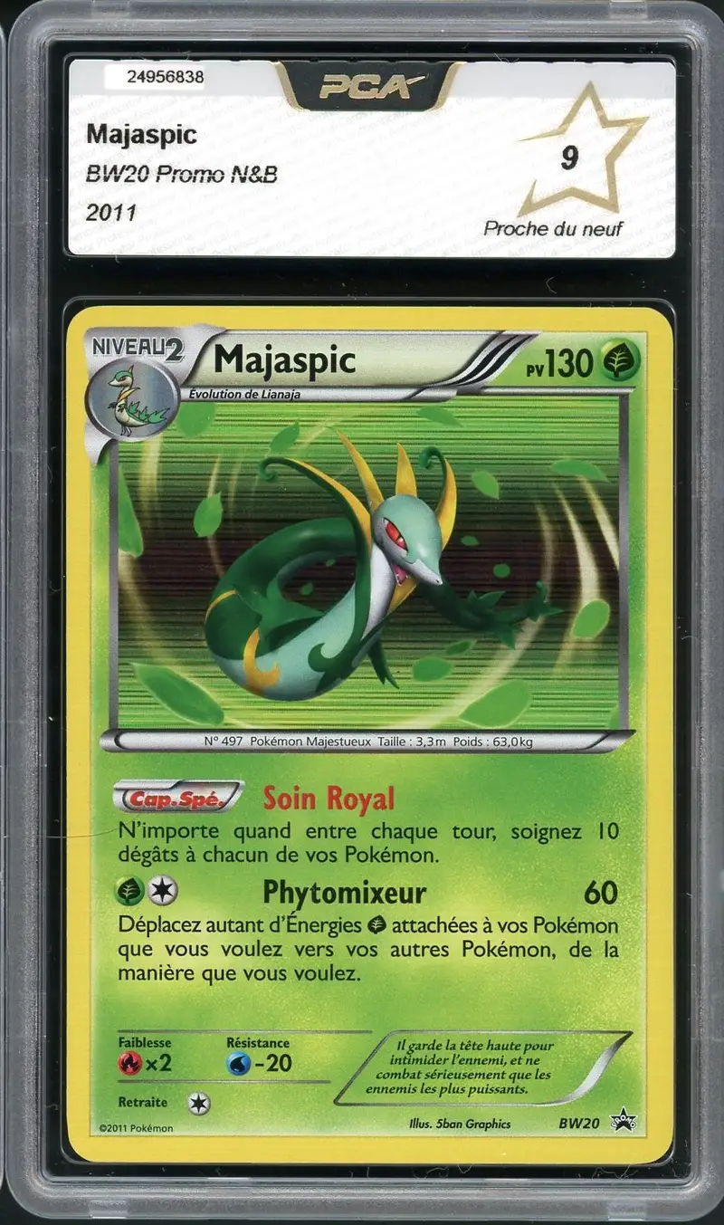PCA 9 Majaspic Holo