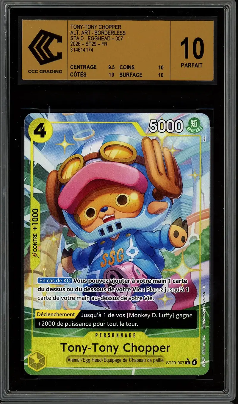 CCC 10 Tony-Tony Chopper