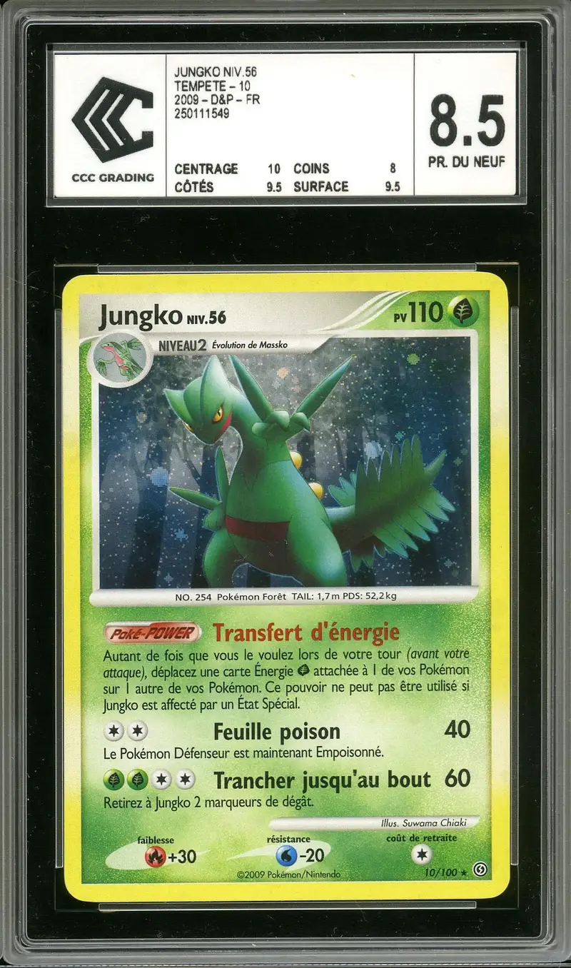 CCC 8.5 Jungko Holo