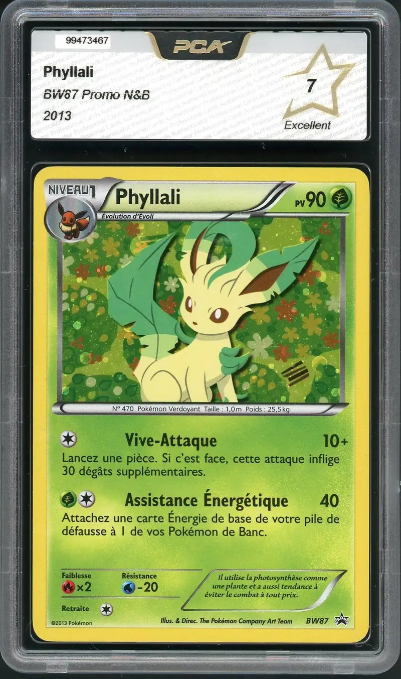 PCA 7 Phyllali Holo