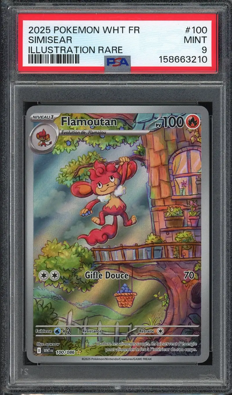 PSA 9 Flamoutan