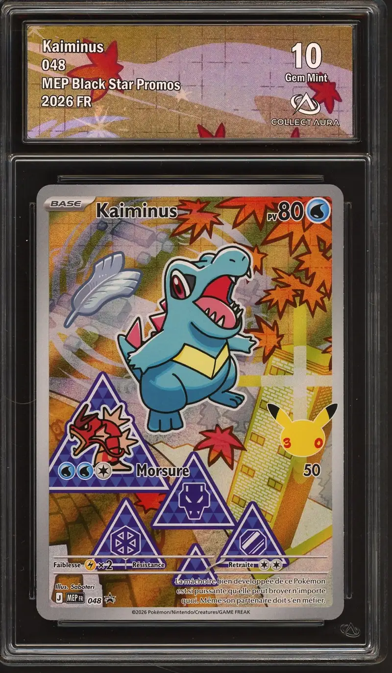 CA 10 Kaiminus