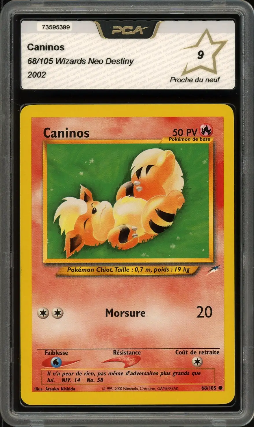 PCA 9 Caninos