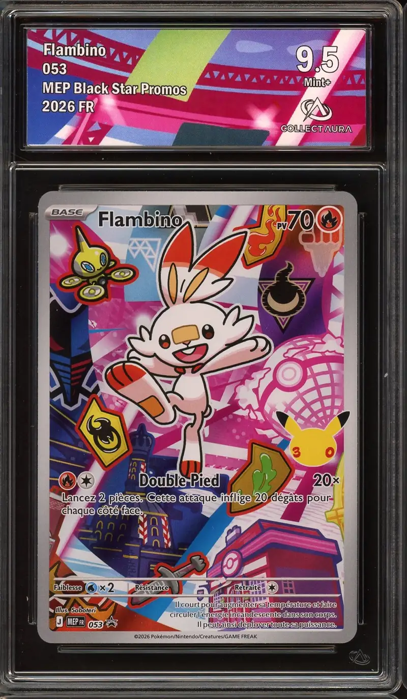 CA 9.5 Flambino