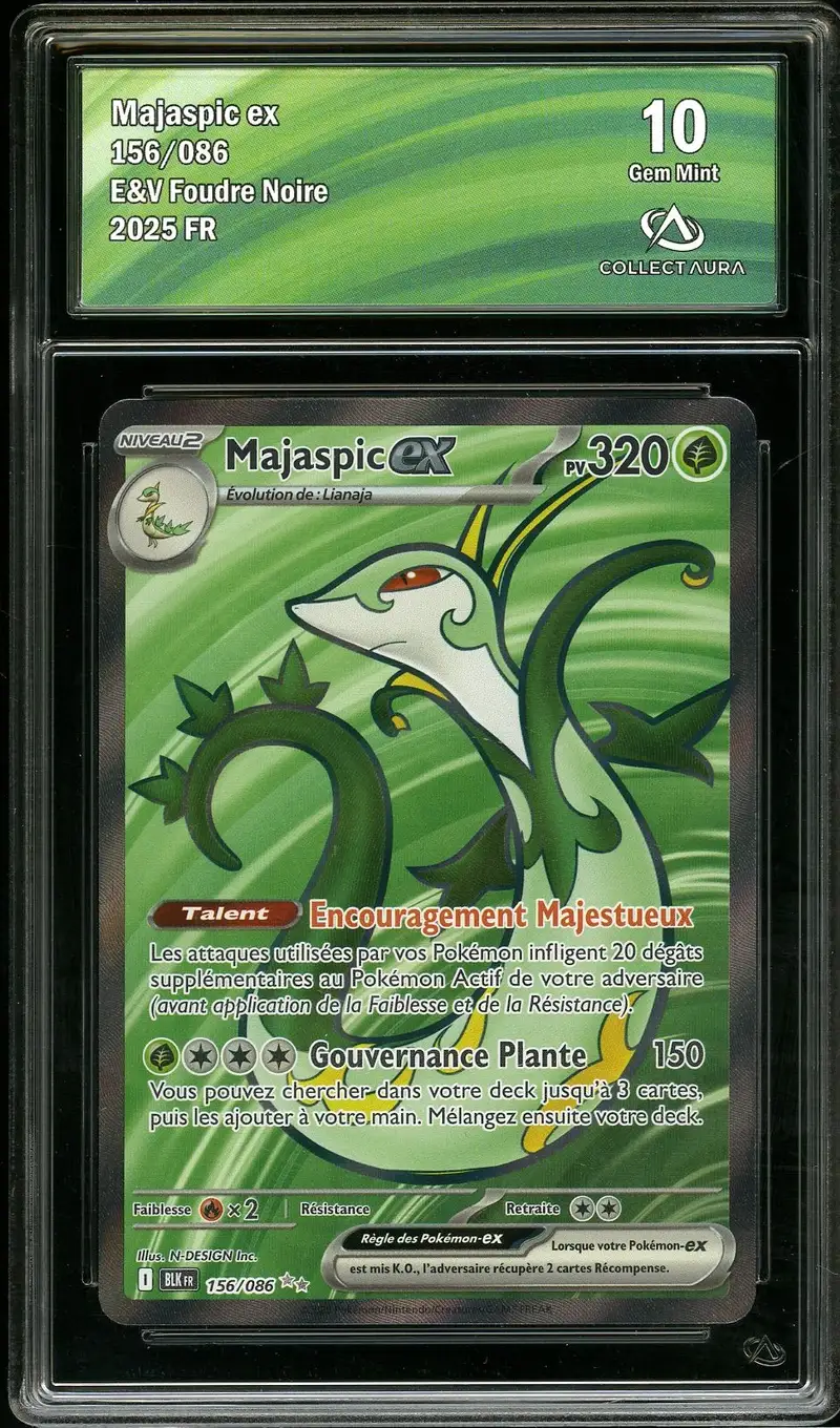 CA 10 Majaspic Ex