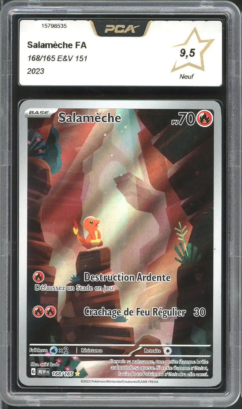 PCA 9.5 Salamèche
