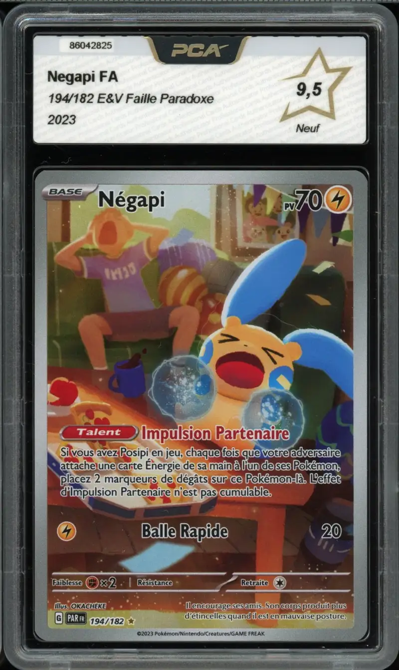 PCA 9.5 Négapi