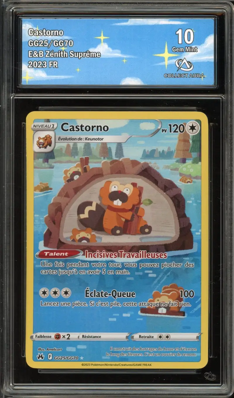 CA 10 Castorno
