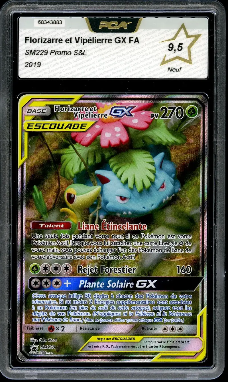 PCA 9.5 Florizarre et Vipélierre Gx