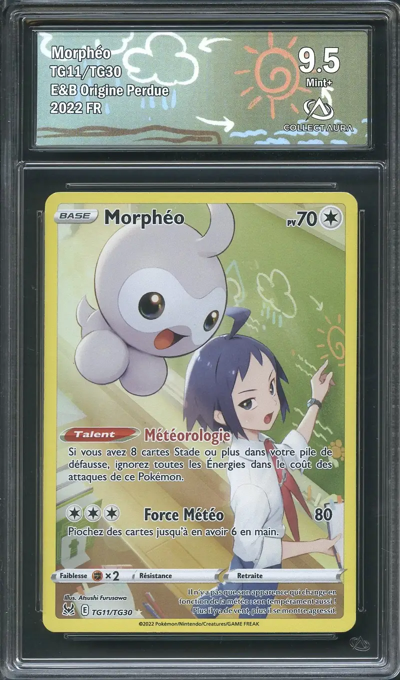 CA 9.5 Morphéo