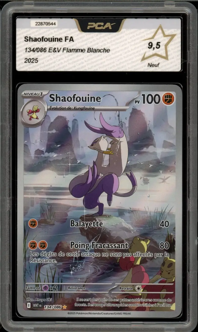 PCA 9.5 Shaofouine