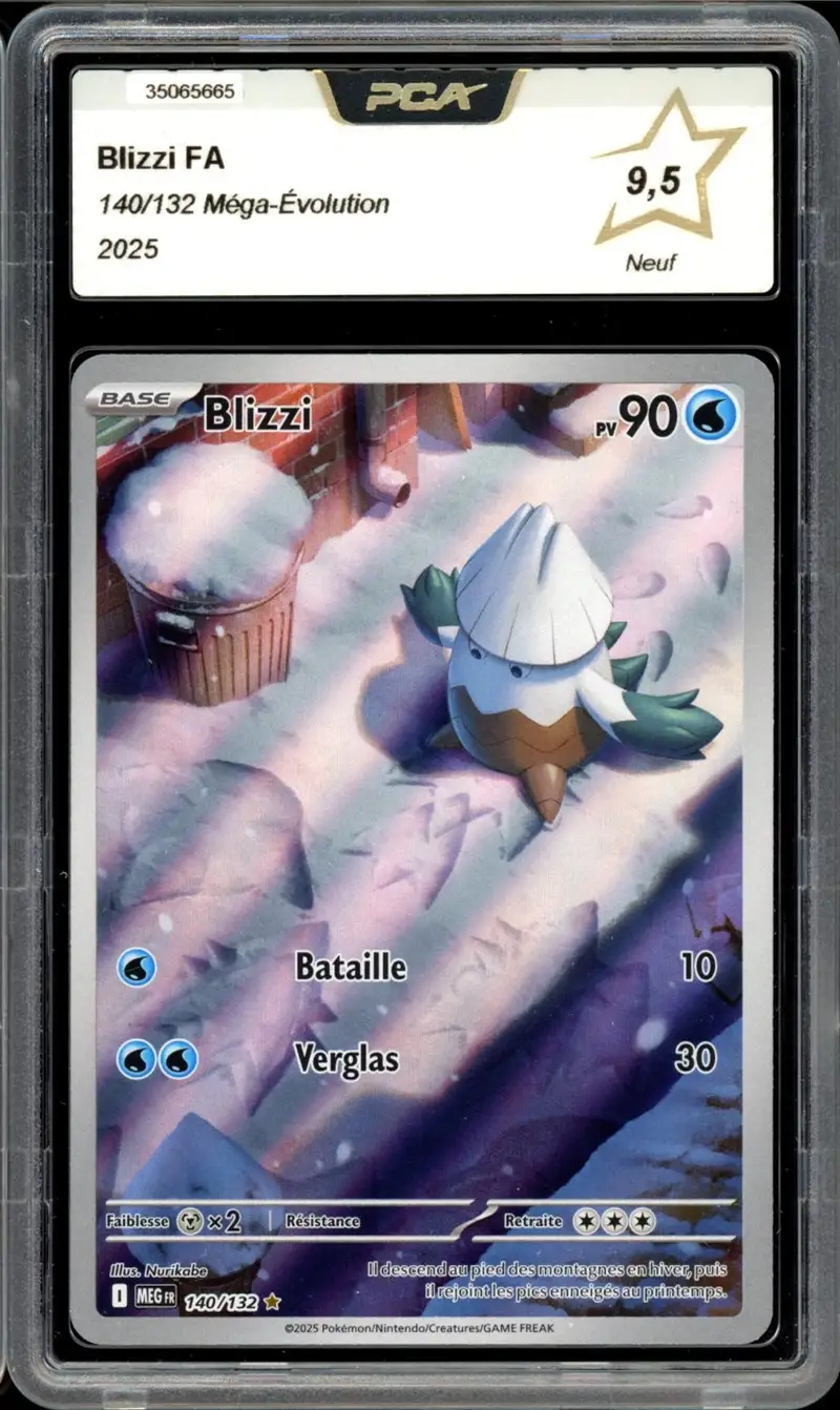 PCA 9.5 Blizzi